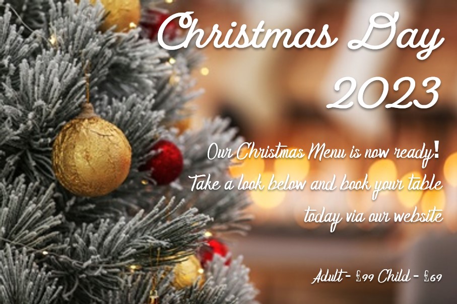 CHRISTMAS 2023 WEBSITE ADVERT 1